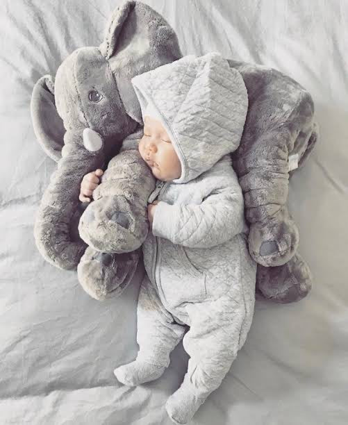 Elephant Pillow